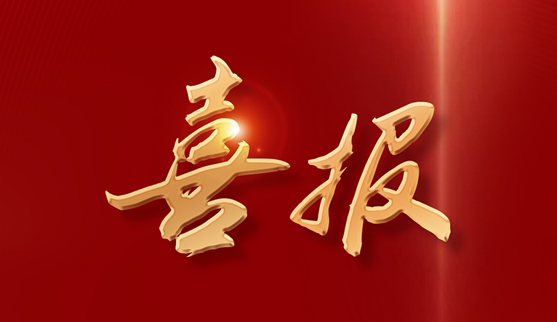 喜讯！！宝新能源再度连任2025广东企业500强殊荣！！